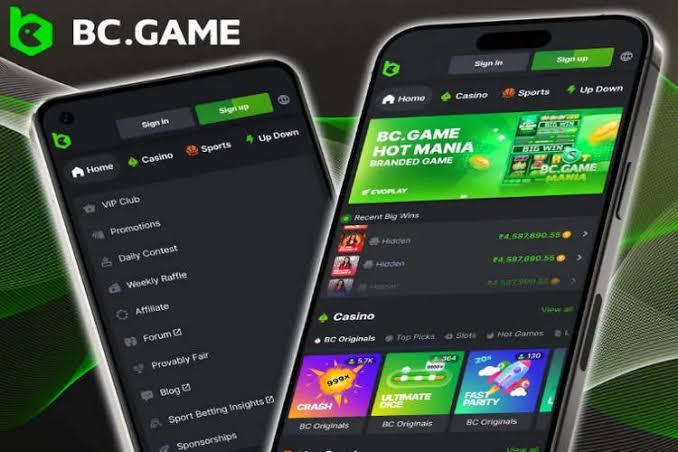 Explore the Exciting Features of the BC.Game App 839956724